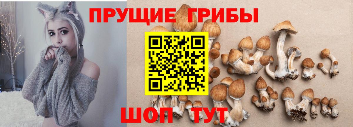 ЭКСТАЗИ  Вход с VPN  Бошки Шишки  Дальнереченск  МДМА  МЕФ кристаллы  ГАШ  КОКАИН 